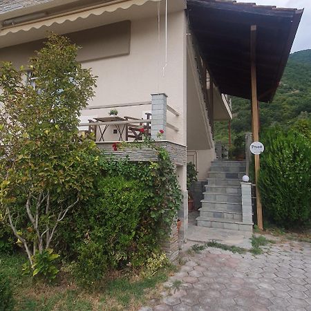 Pnoe Apartments Káto Loutrákion エクステリア 写真
